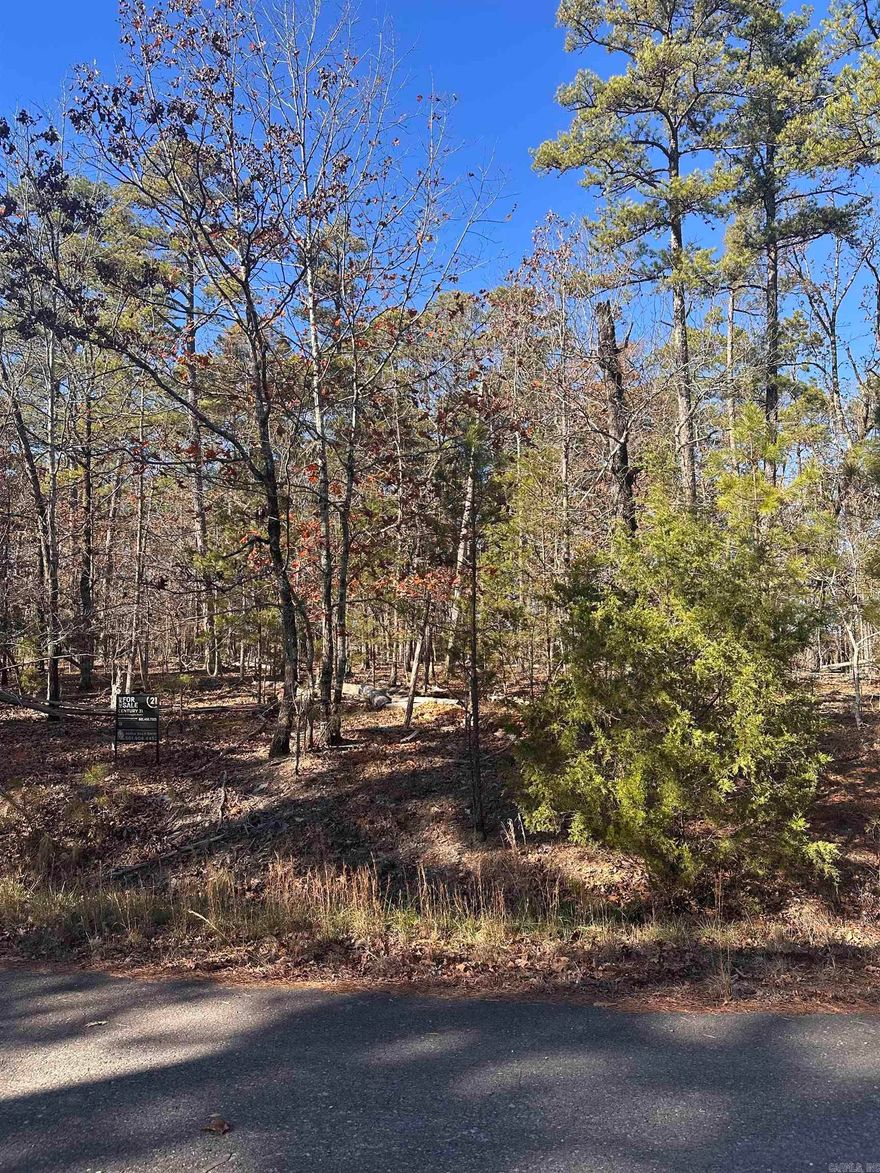Nestled in the serene Baltanas subdivision of Hot Springs Village, this corner lot offers the perfect canvas for your dream home.  Located in a gated community, it boasts access to stunning natural surroundings, top-notch amenities, and a peaceful atmosphere.  This residential vacant land is ideal for those seeking privacy and tranquility while still being close to golf courses, hiking trails, and recreational facilities.  Whether you're building a vacation retreat or a permanent residence, this property is a fantastic investment opportunity.