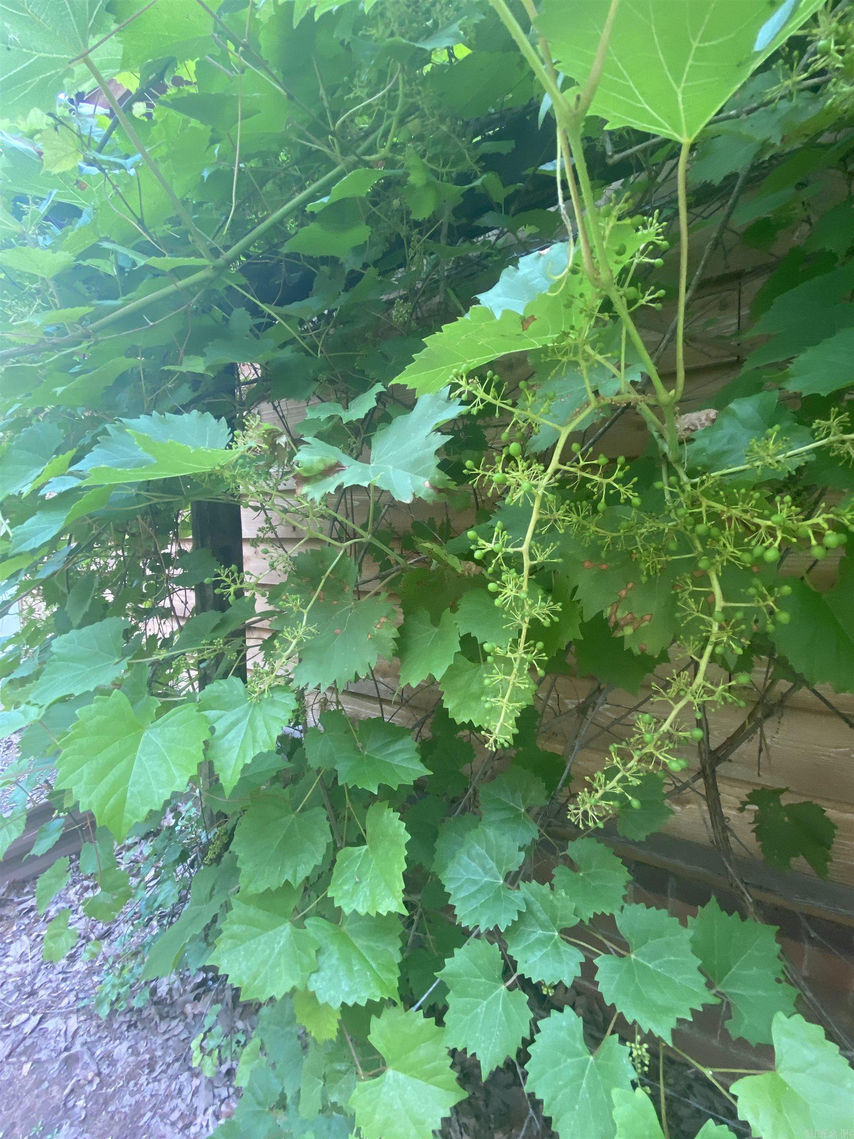 CLOVERLEAF ESTATES - Residential