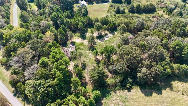 000 WINFREE LANE, MELBOURNE, AR 72556 - Image cea687b9c57cd509fc71fce6fdc7e116/4292791855