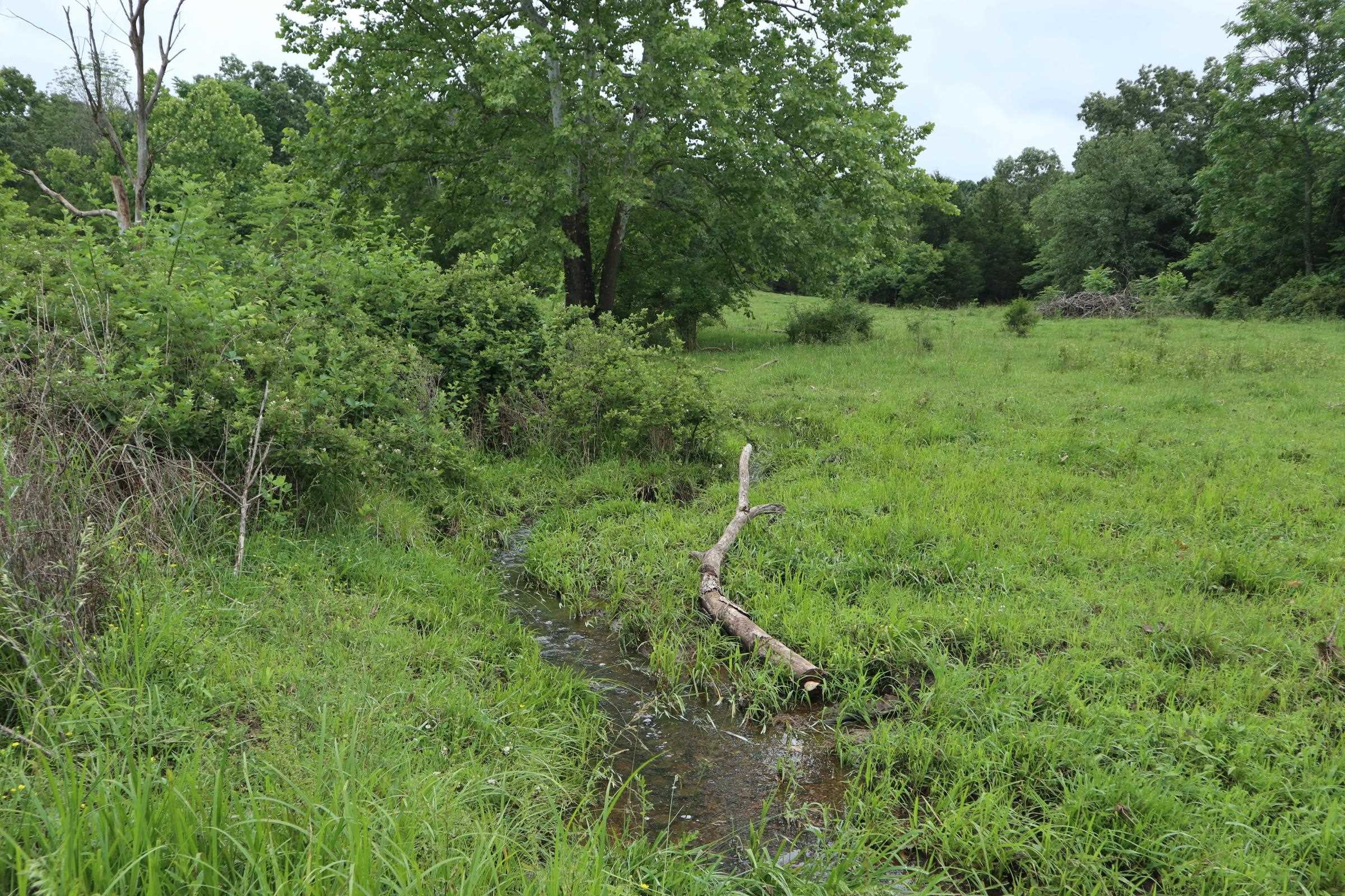 Metes & Bounds - Farm