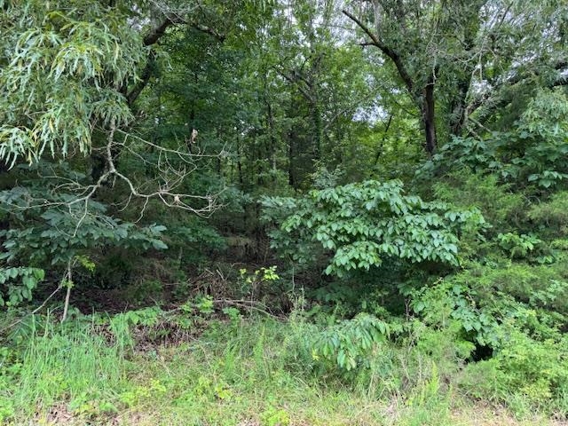 Metes & Bounds - Farm