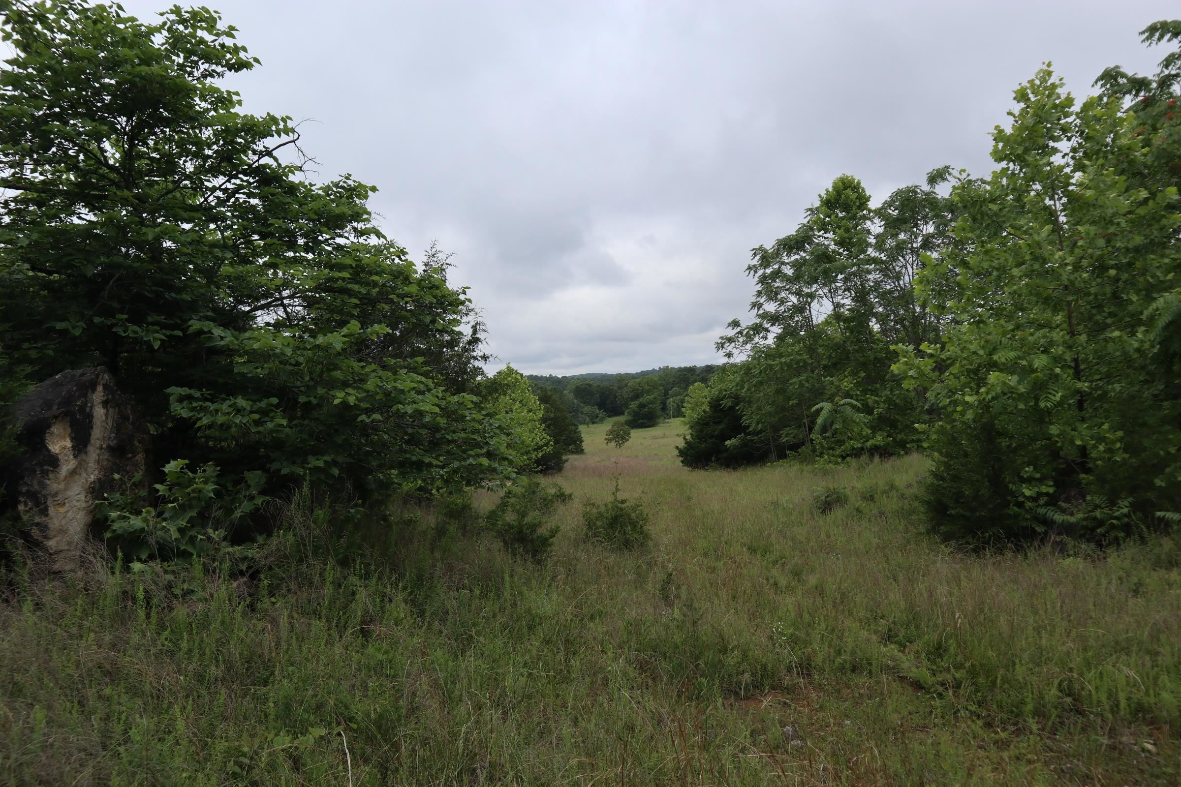 Metes & Bounds - Farm