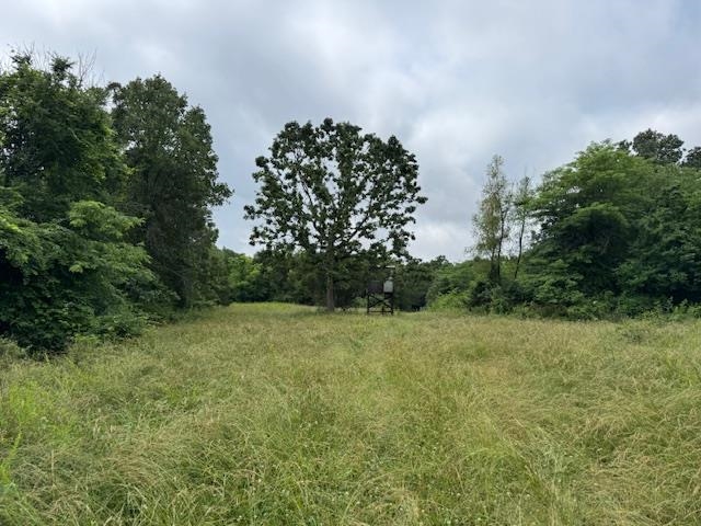 Metes & Bounds - Farm