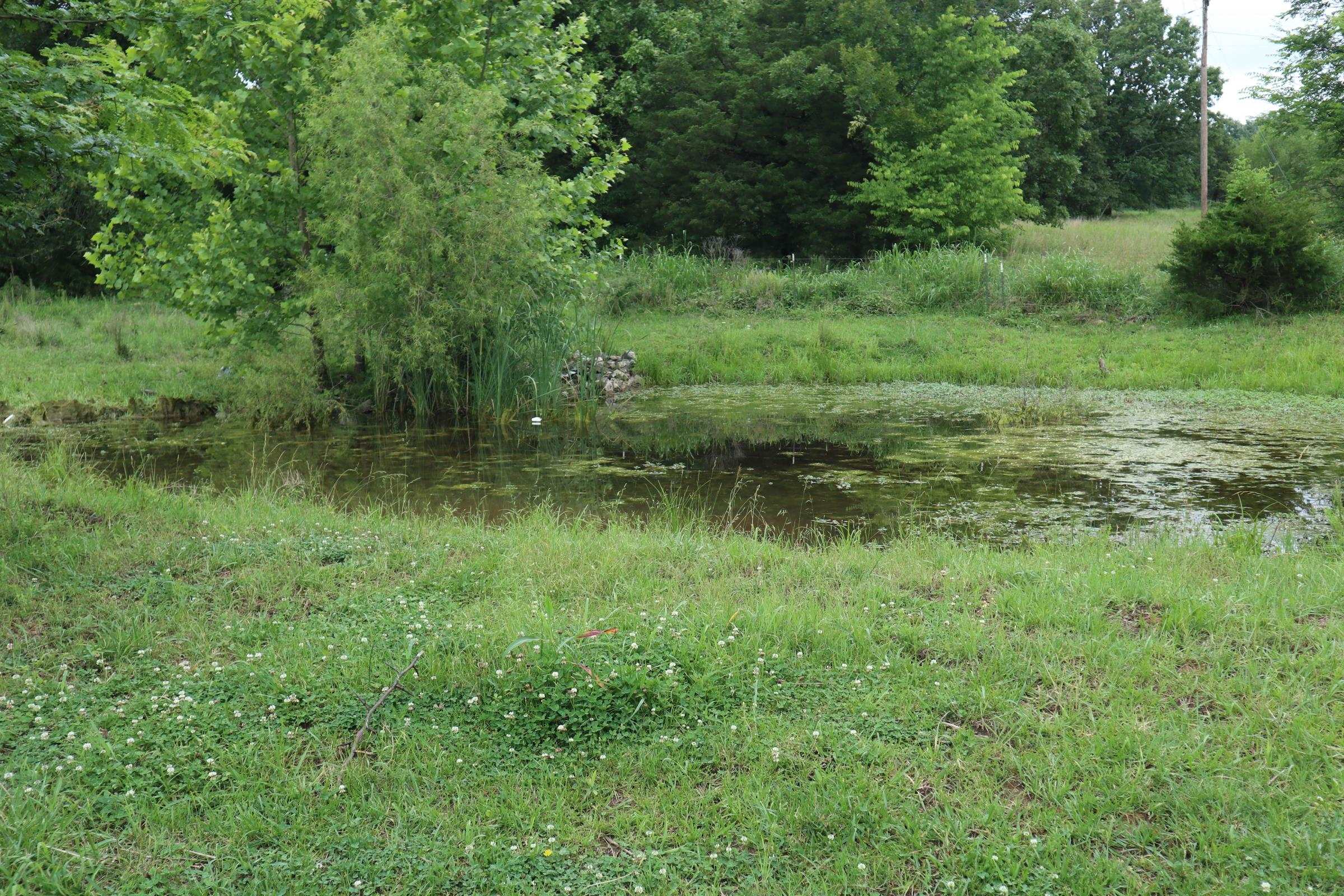 Metes & Bounds - Farm