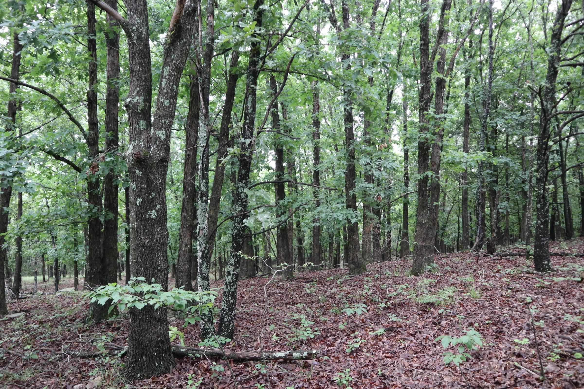 Metes & Bounds - Farm