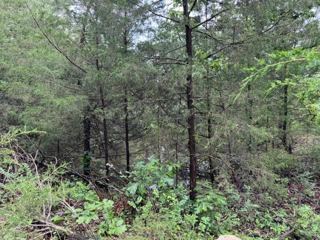 Metes & Bounds - Farm