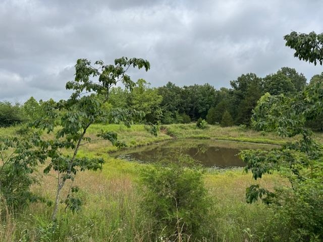 Metes & Bounds - Farm