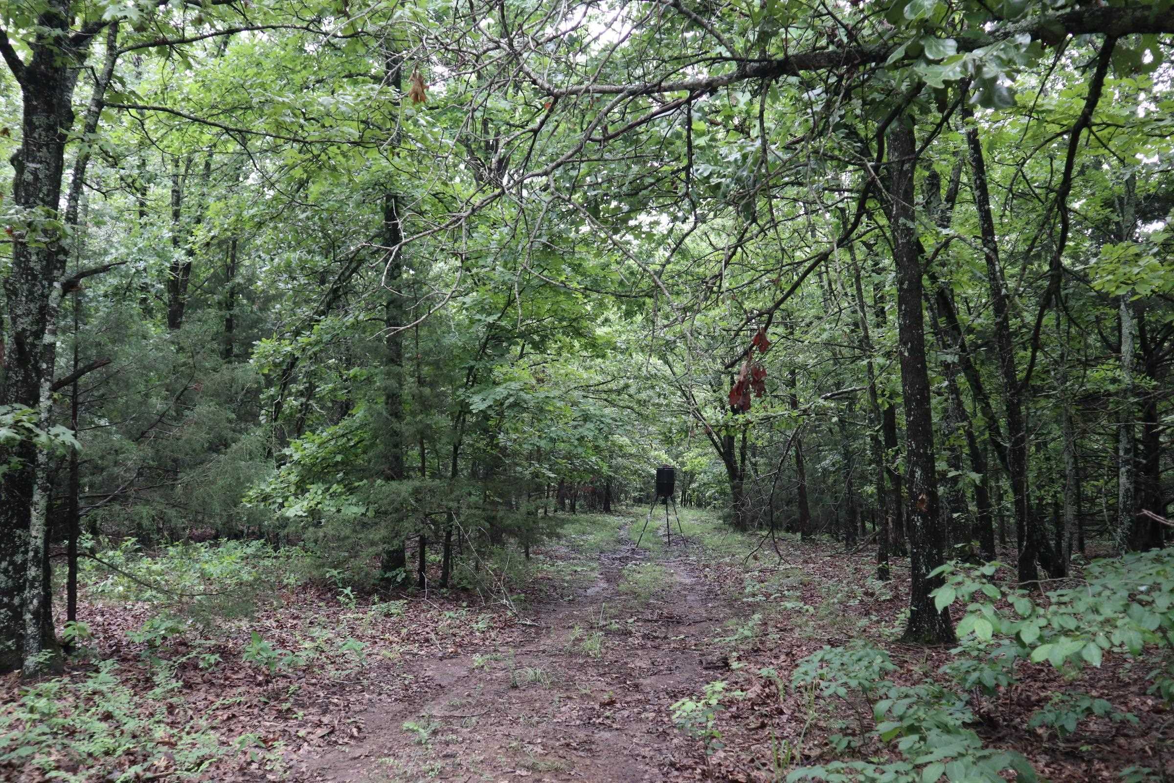 Metes & Bounds - Farm