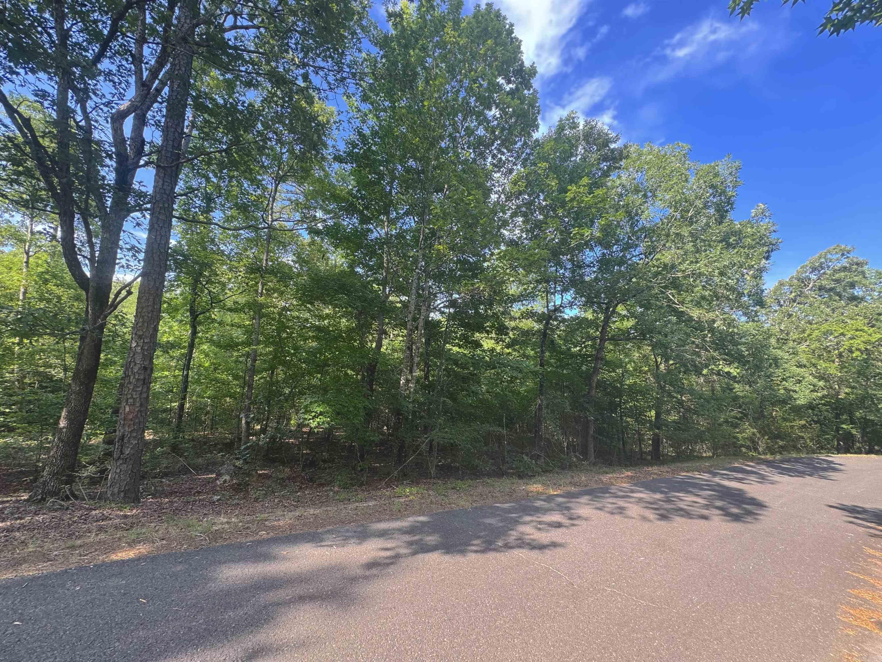 Secluded, wooded build-ready lot near Ponce De Leon Golf Course.