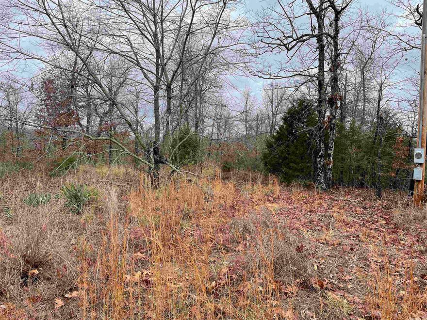 Nice 5 acre lot with electric and rural water has gravel road frontage. Great place to build your new home.