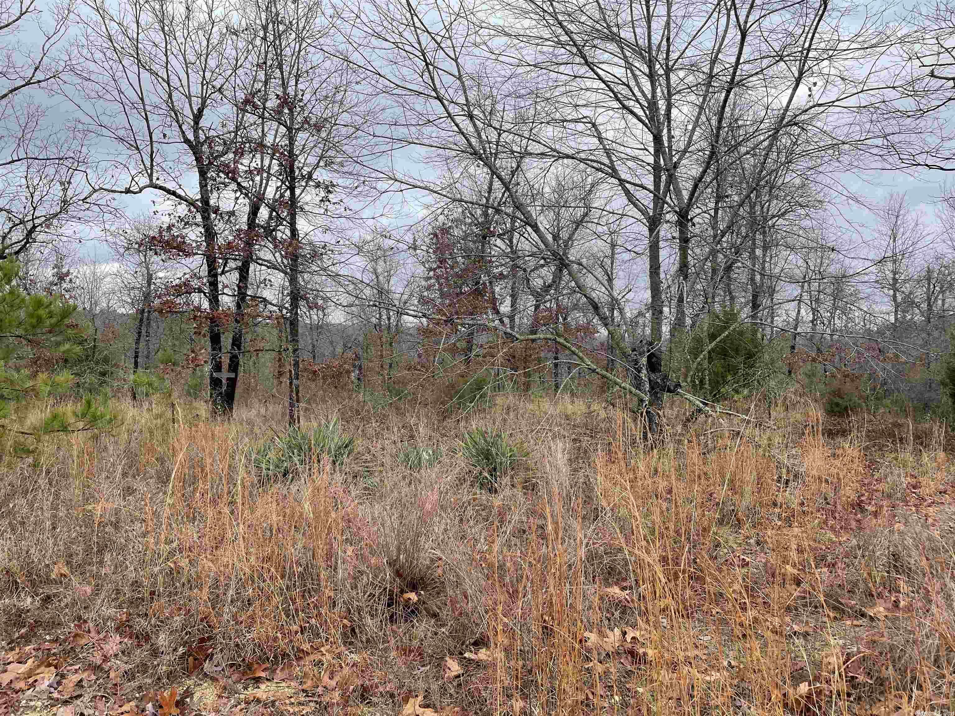 Pleasant Ridge Estates - Land