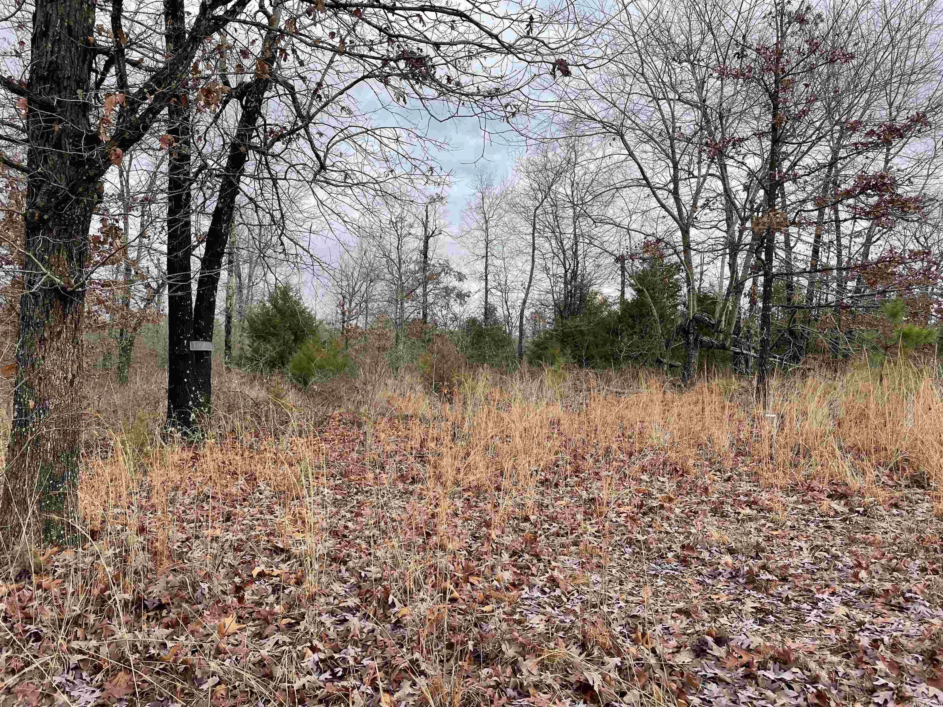 Pleasant Ridge Estates - Land