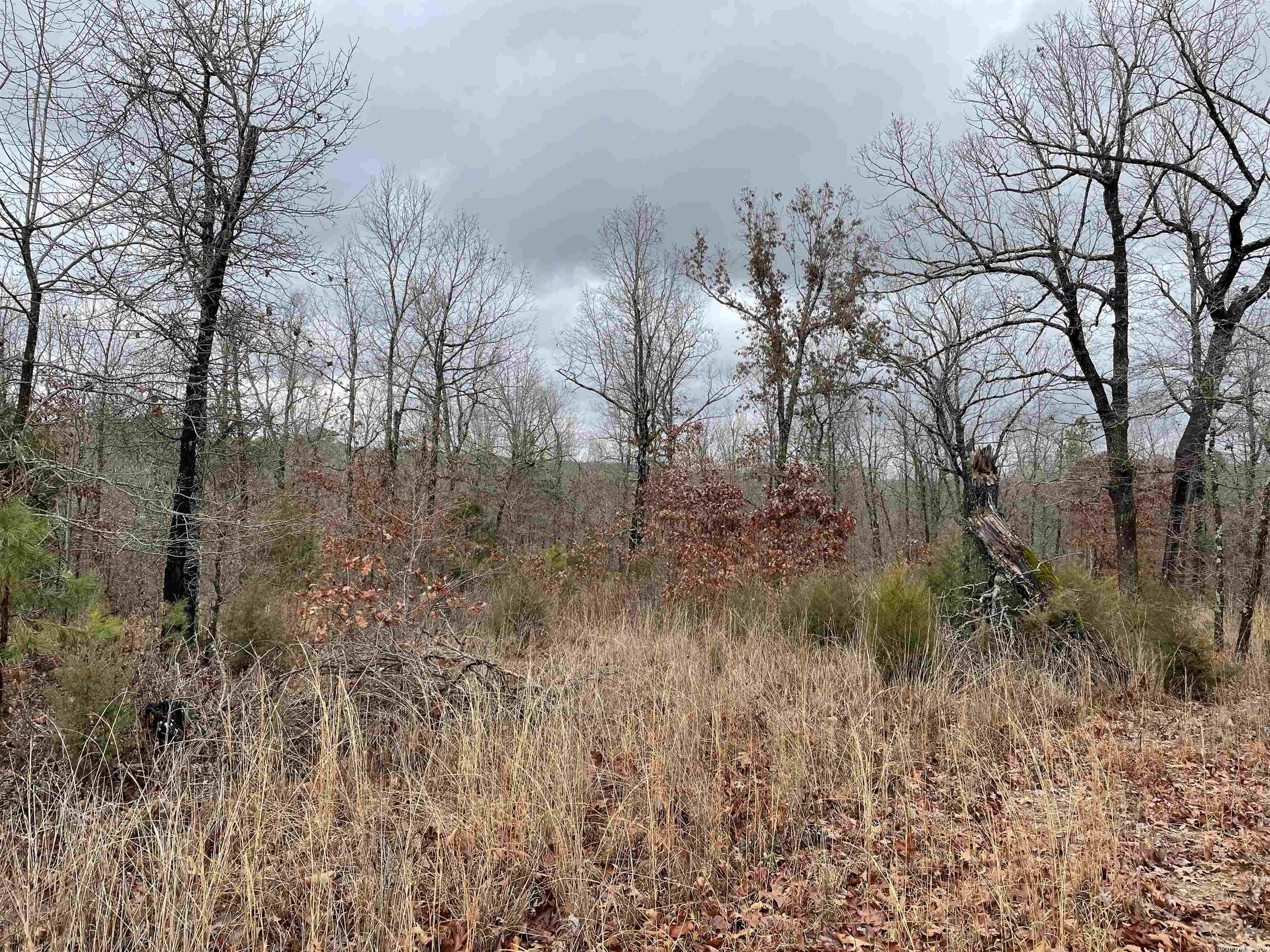 Pleasant Ridge Estates - Land