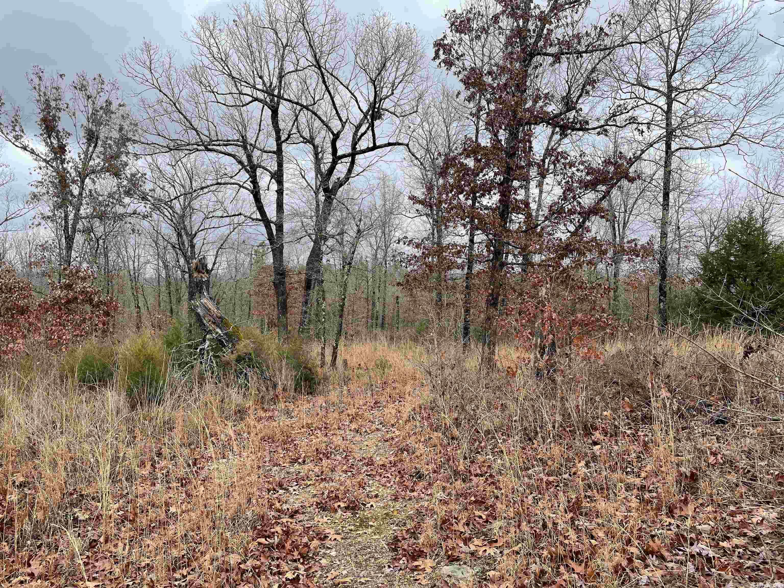 Pleasant Ridge Estates - Land