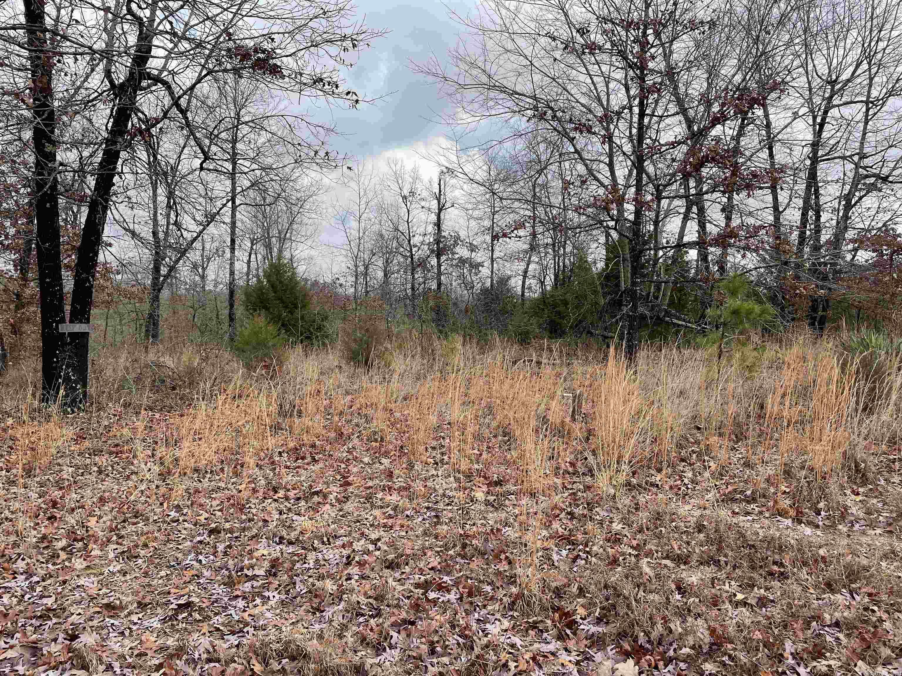 Pleasant Ridge Estates - Land