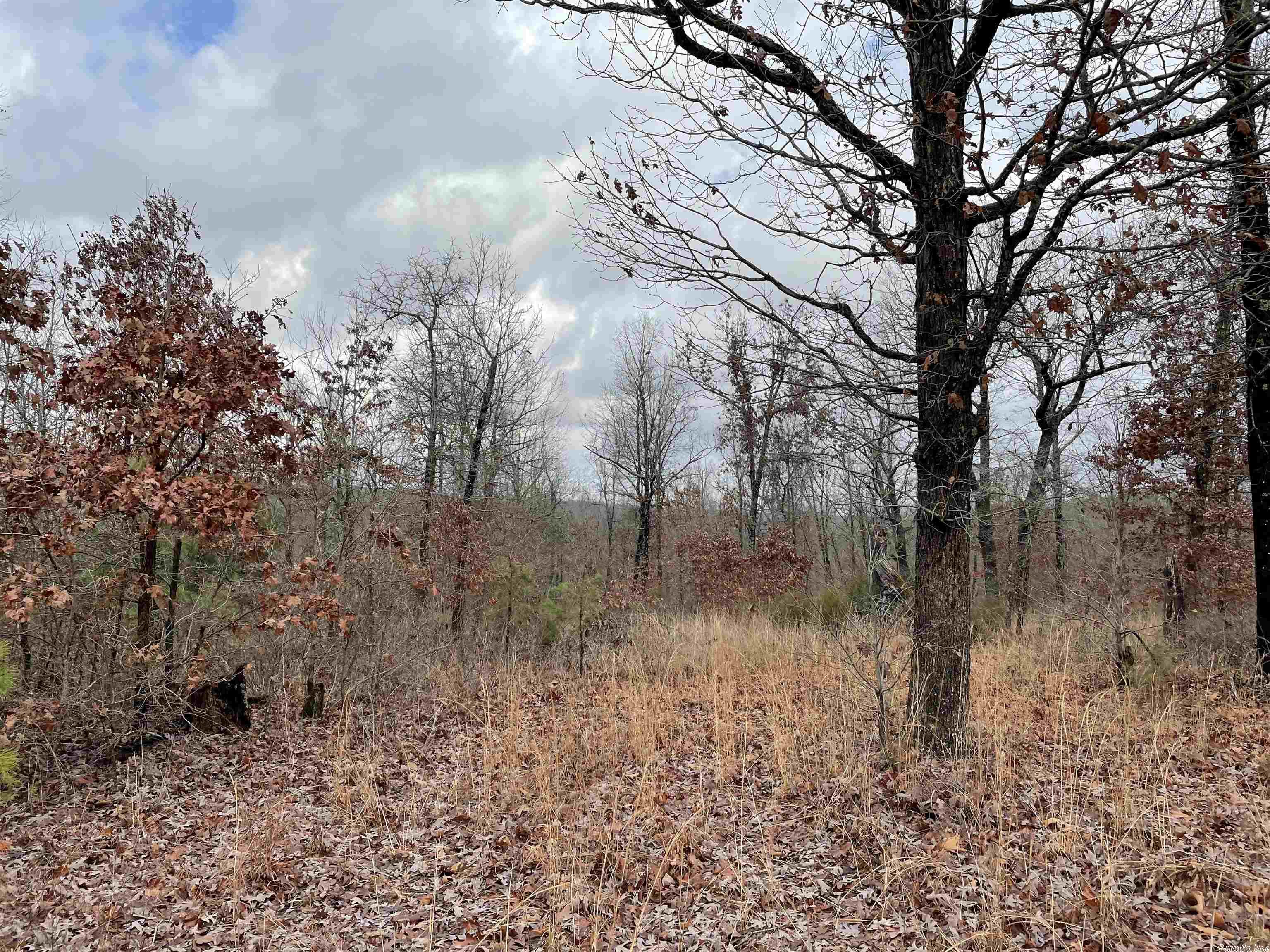 Pleasant Ridge Estates - Land