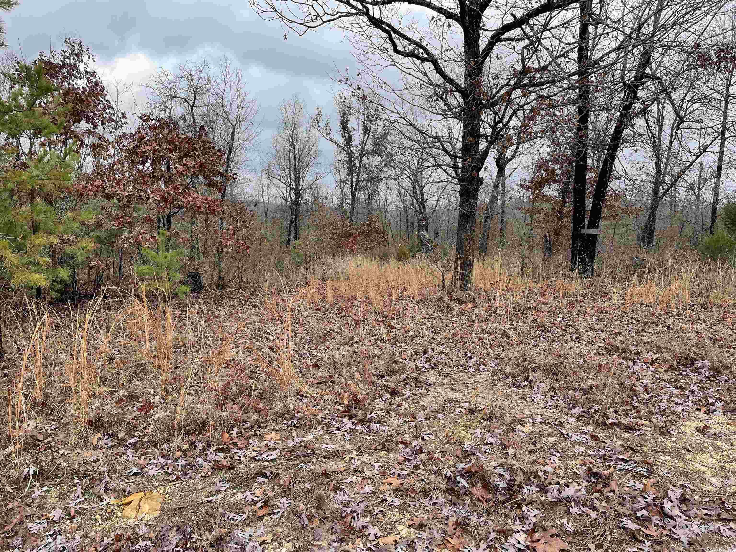 Pleasant Ridge Estates - Land