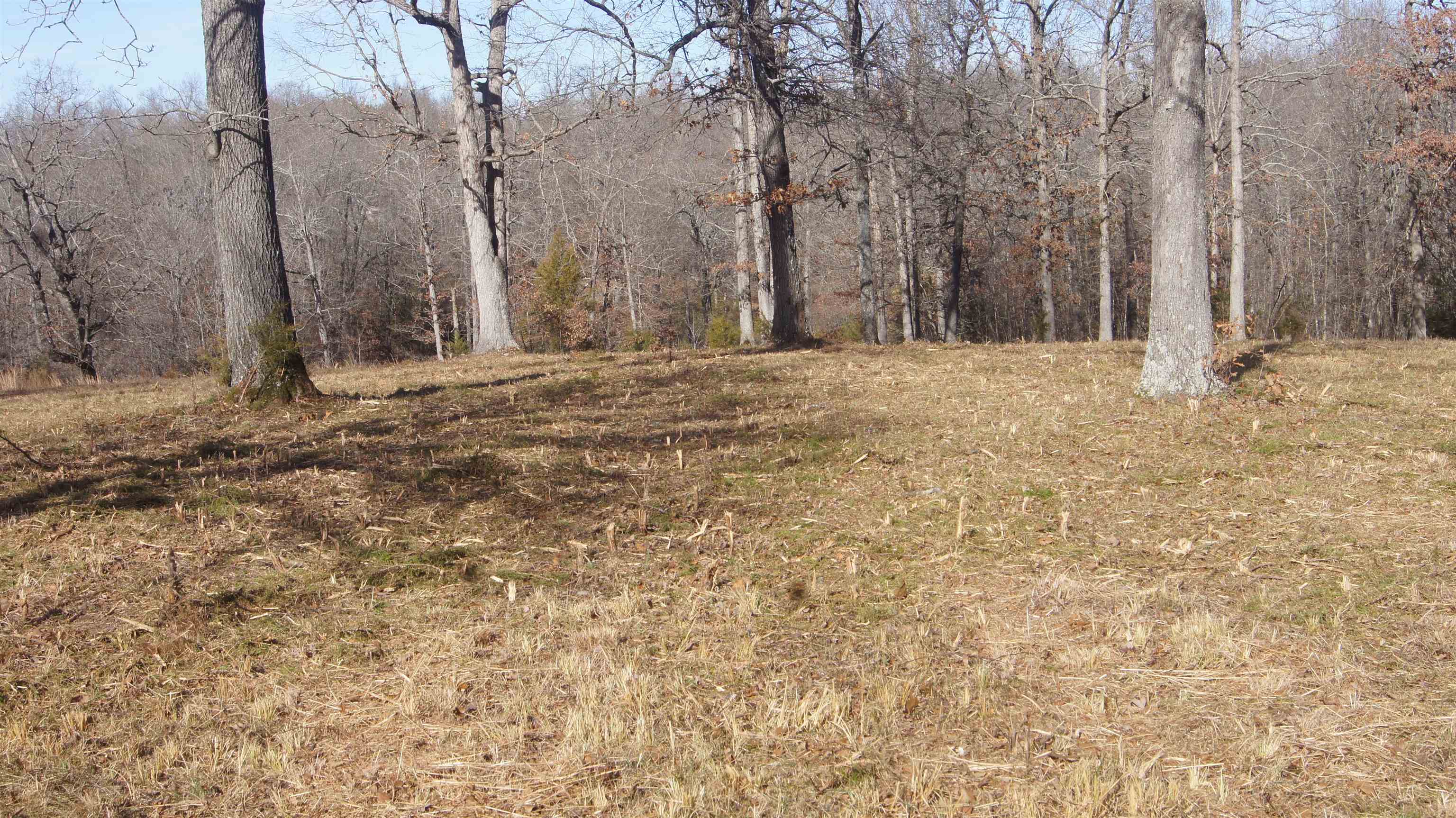 Not in Subdivision - Land