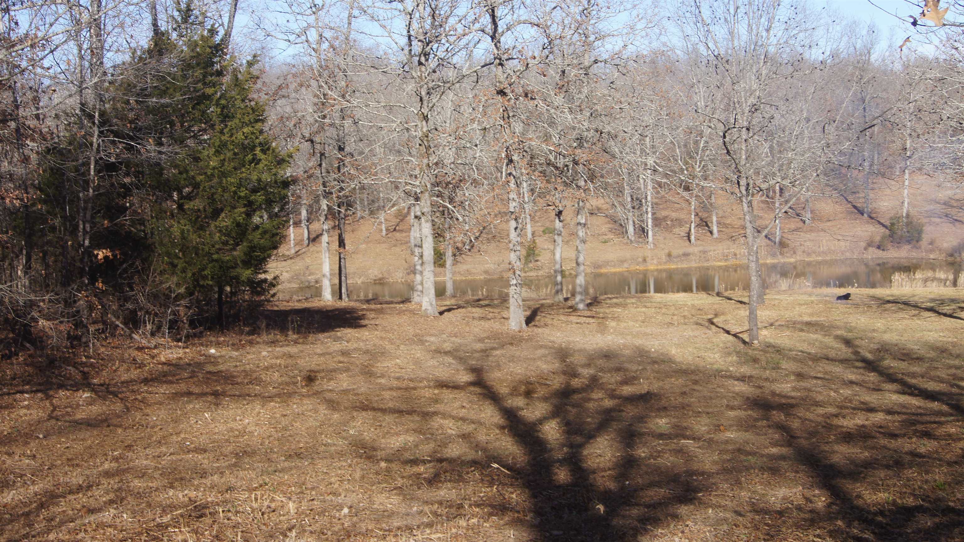 Not in Subdivision - Land