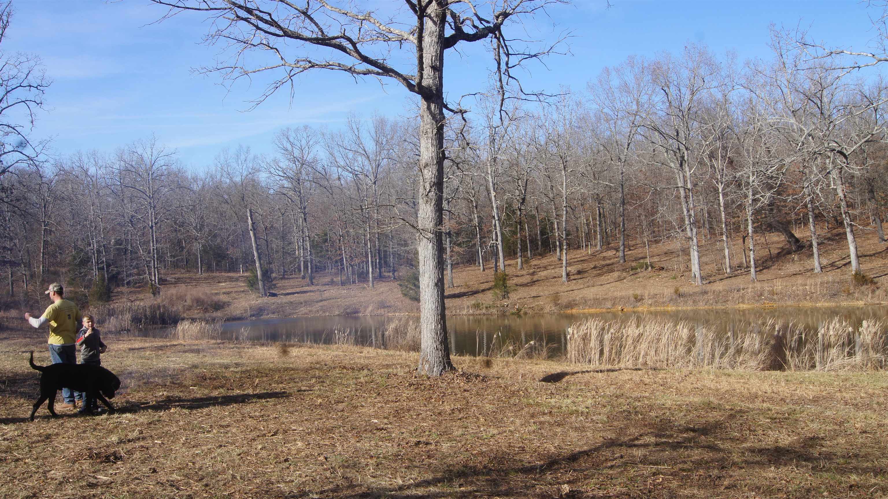 Not in Subdivision - Land