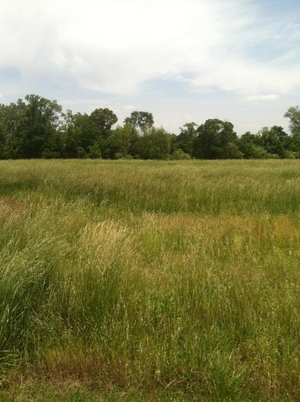 Valley Meadows - Land