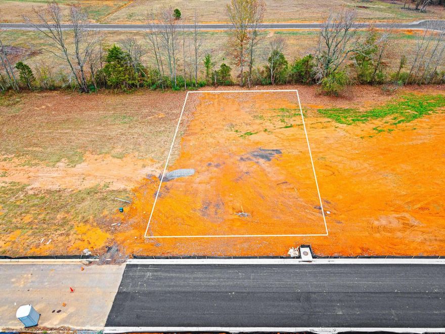 Discover the perfect setting for your future home on this oversized lot in the sought-after Copper Moon Estates subdivision. Surrounded by beautifully established homes and a welcoming community, this spacious property offers the ideal canvas for creating the dream home you’ve always envisioned. The subdivision is already well-developed, offering mature surroundings, pride of ownership, and a peaceful neighborhood atmosphere. Lots like this are rare—come join the Copper Moon Estates community and start building your dream home today!