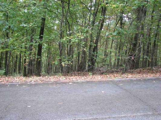 27 LAGO DR, HOT SPRINGS VILLAGE, AR 71909 - Image cf0d3533c2fcbe7ceee667c05e7955ac/1393157214