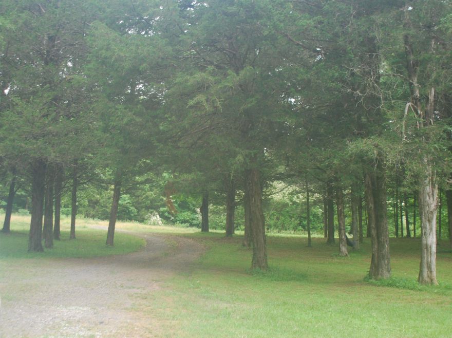 Beautiful rural property