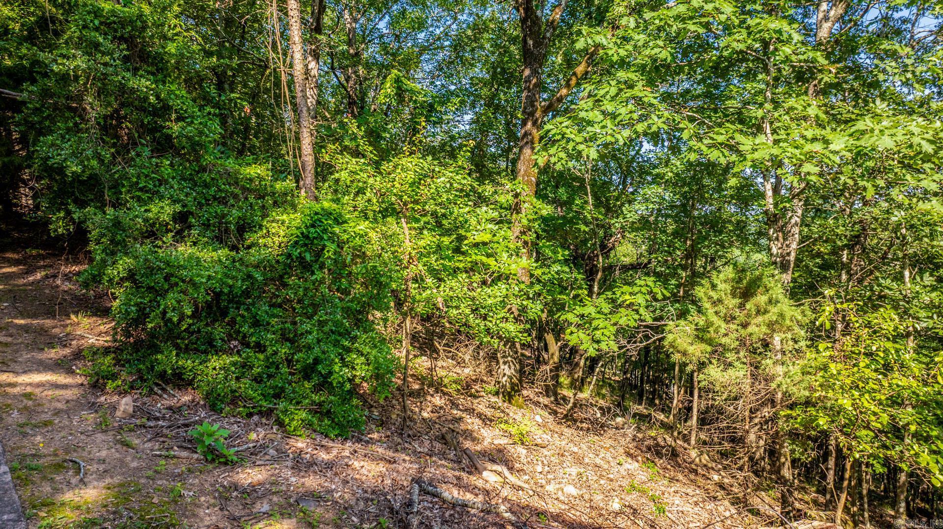 River Ridge Pointe - Land