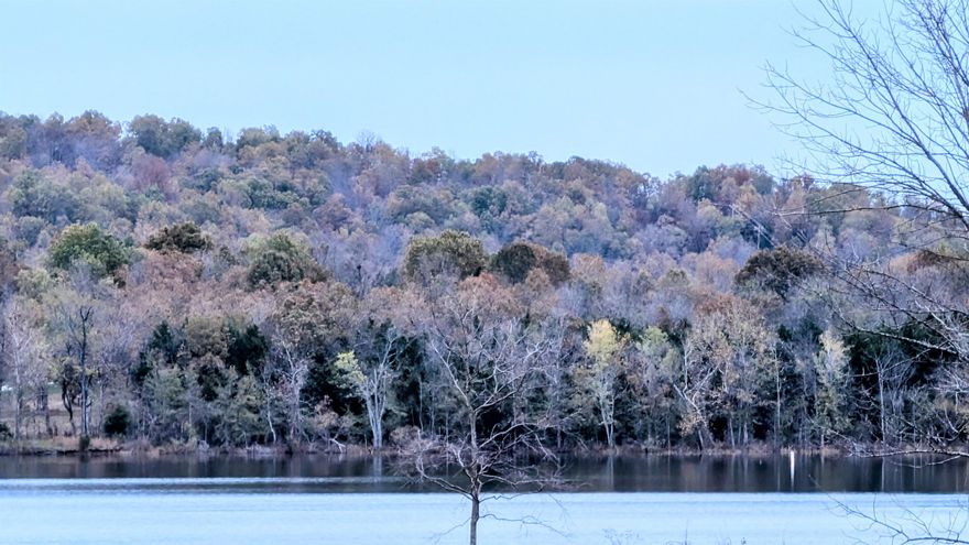 Beautiful tract of wooded land right on Crown Lake. Over one acre to place your new waterfront homestead. Perfect place for a dream home. OFairly level lot, slight slope to water. City water and NAEC electricity at the road, Fiber Optic internet available through power company. Don't miss this opportunity. Horseshoe Bend includes amenities such as golf course, muncipal airport, horse shoe pits, library, and a few other lakes great for fishing.