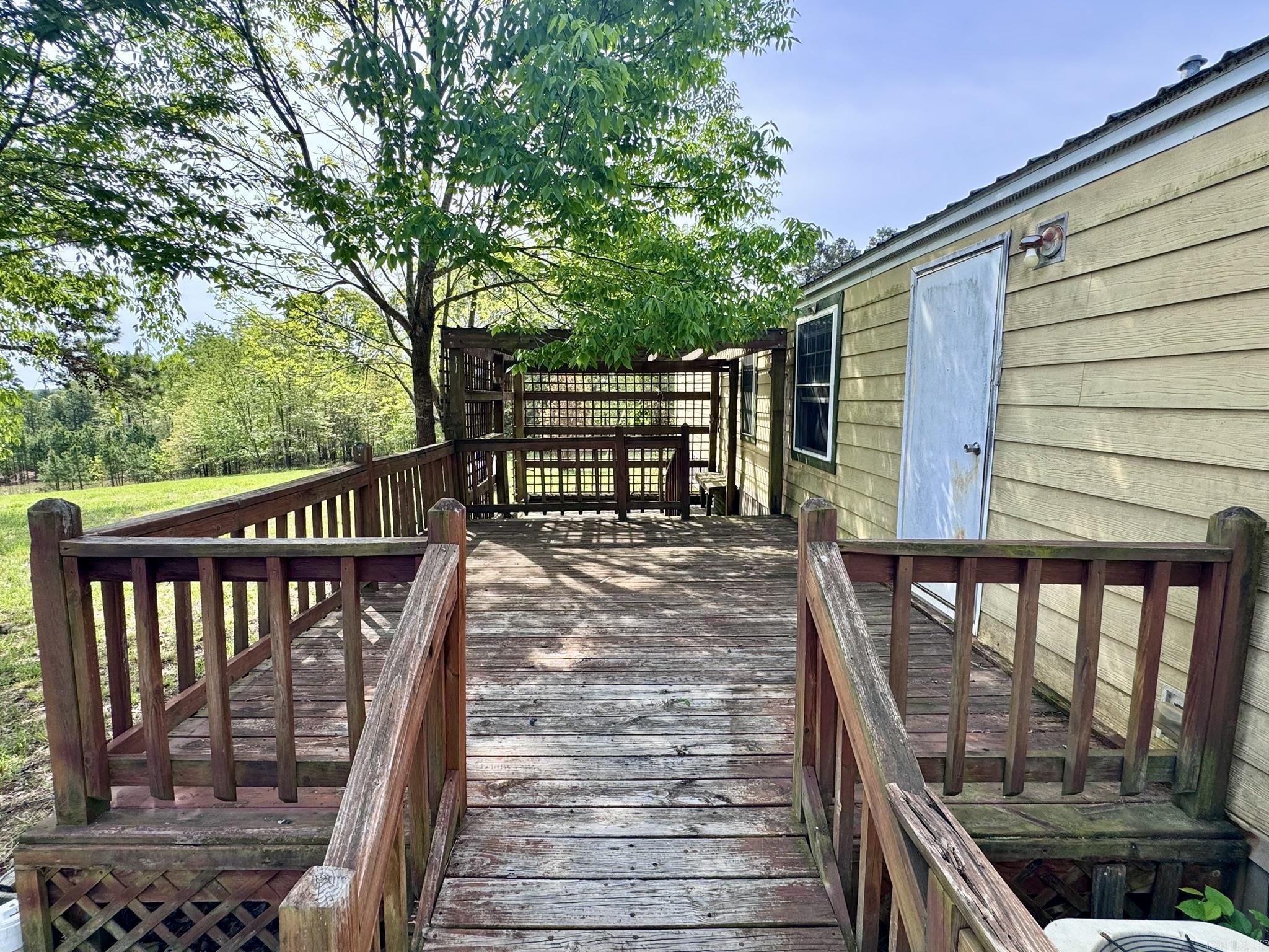 Pine Tree 2nd - Residential