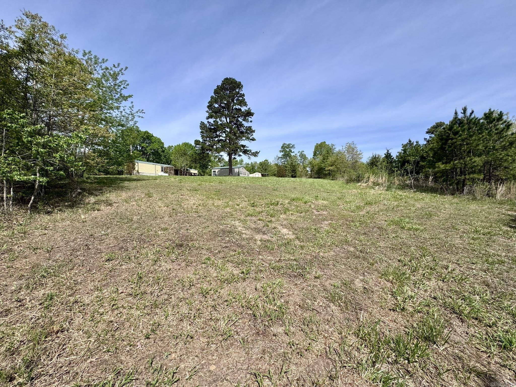 Pine Tree 2nd - Residential