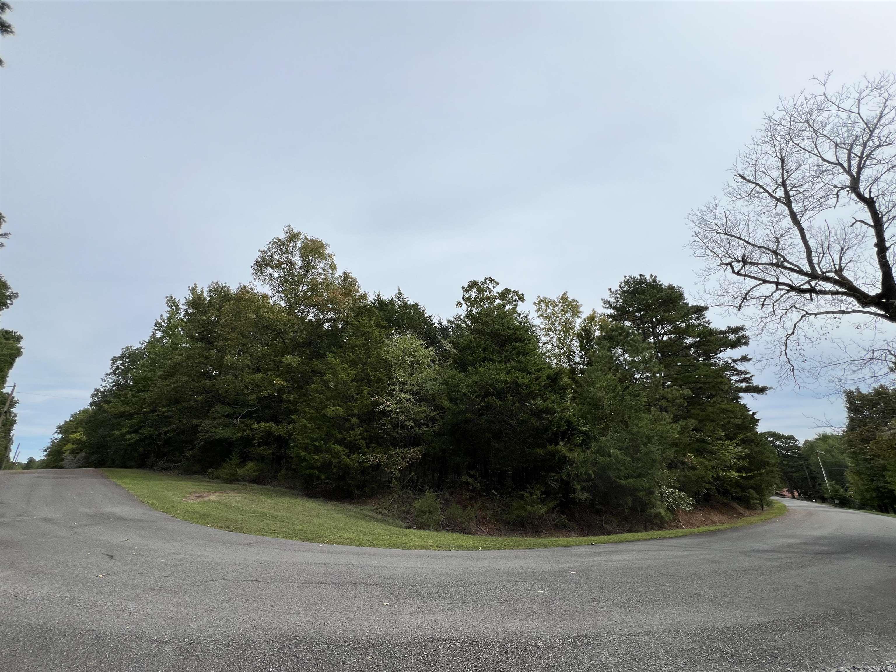 Great one acre lot in a gorgeous small subdivision right across the street from beautiful Greer's Ferry Lake. This lot sits in the bend of the road and allows access from two sides. This lot also has a slip in one of the community boat docks, just a short walk away! Boat slip is located in Cobalt bay just outside the Fairfield Bay Marina.