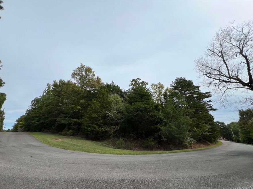 Great one acre lot in a gorgeous small subdivision right across the street from beautiful Greer's Ferry Lake. This lot sits in the bend of the road and allows access from two sides. This lot also has a slip in one of the community boat docks, just a short walk away! Boat slip is located in Cobalt bay just outside the Fairfield Bay Marina.
