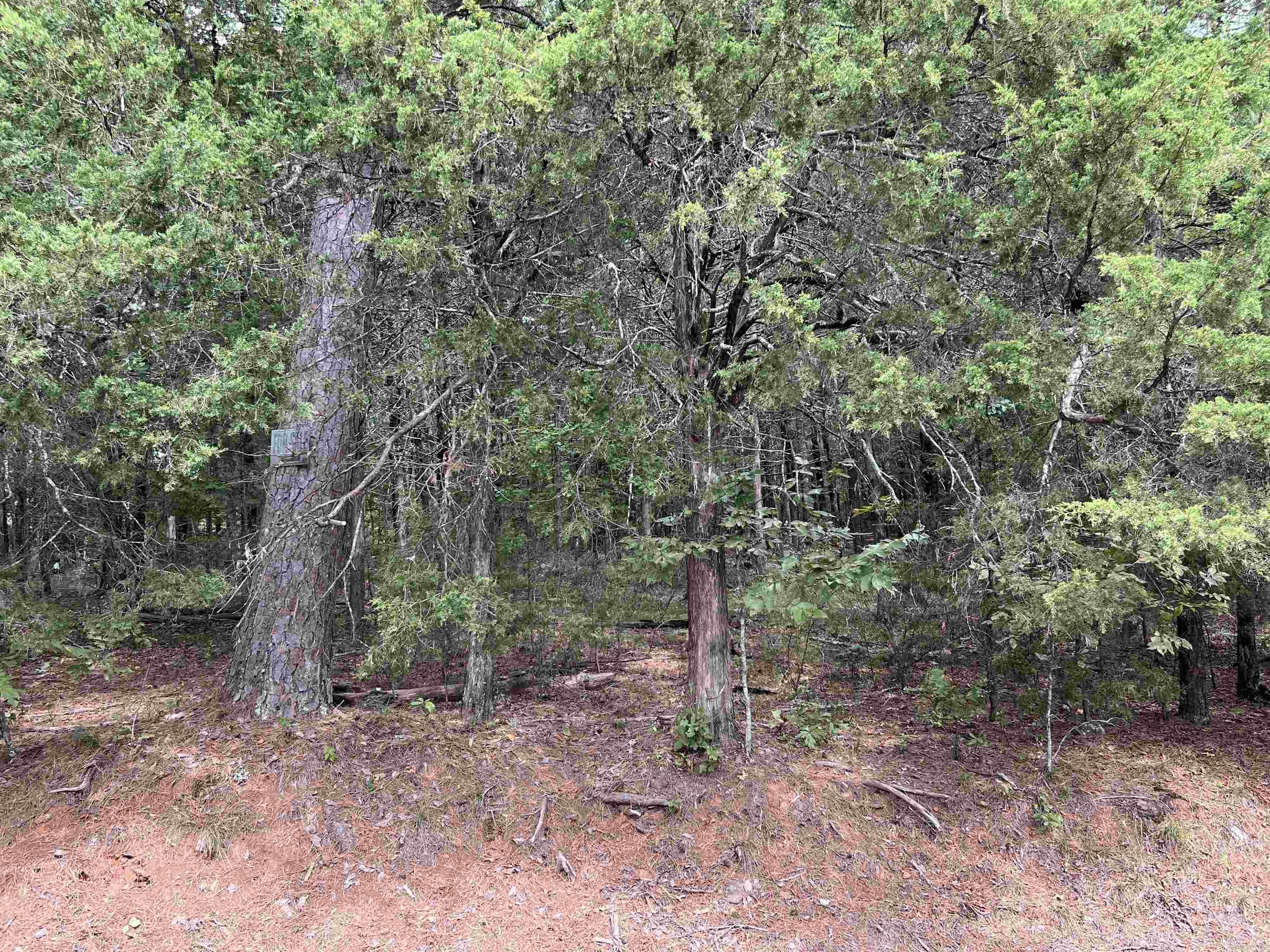 Driftwood Shores Estates - Land