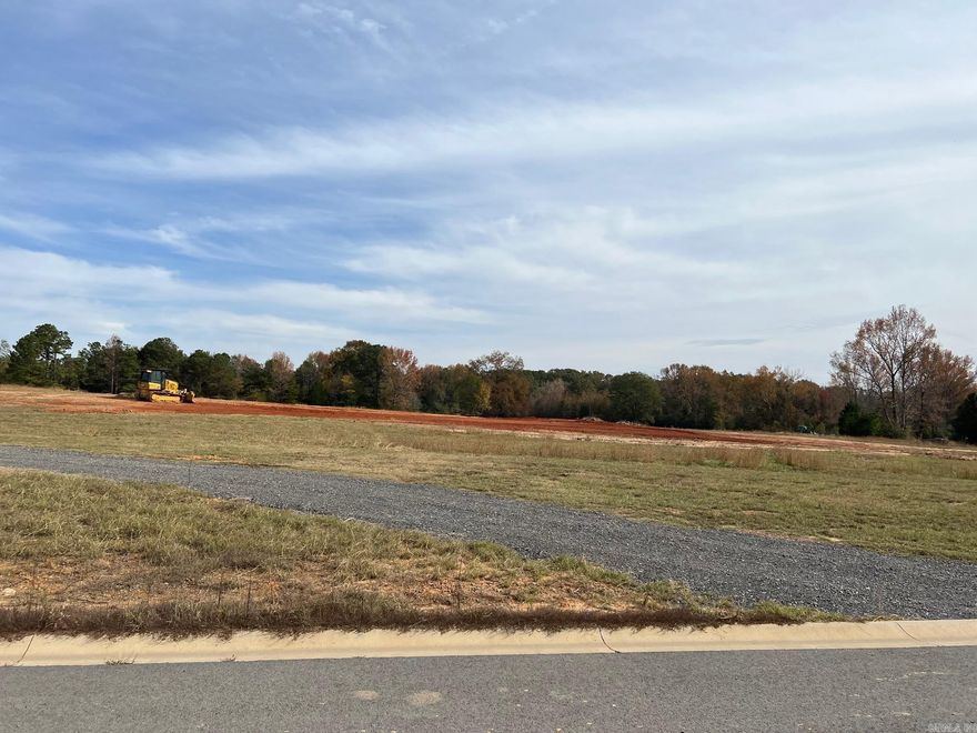 Augusta Estates! Cabot's newest subdivision on Rolling Hills Golf Course. 2500 SQFT min. Sewer treatment plant, grand prairie water. Phase 1 is developed. This lot is in phase II. Call Listing agent for more details