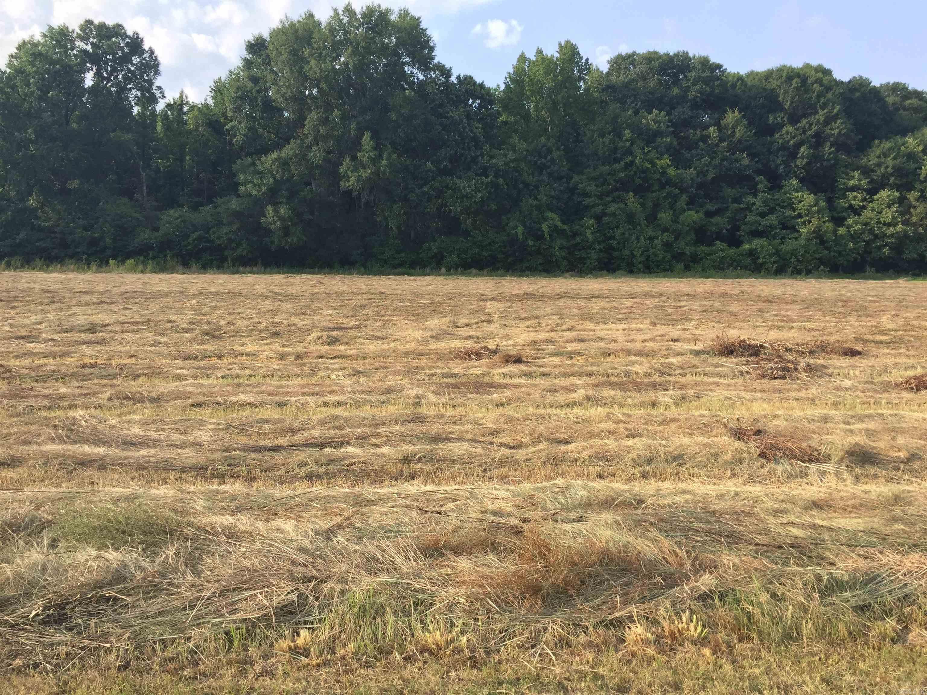 Mound Lake II - Land