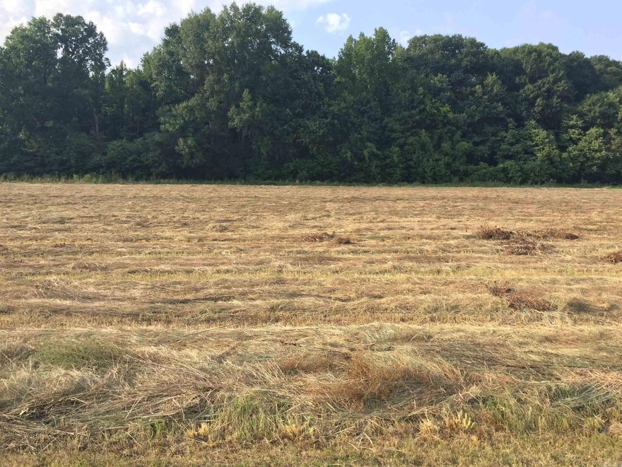 Come on out, and get a glimpse of what Lake life is all about. Lots big enough for the avid gardener and a Lake stocked for the avid fisher. Who doesn’t love from lake-to-table, from garden-to-table. Mound Lake Estates is a true hidden gem gated community, where everyone waves. An out of city limits feel but still a close commute to necessities. Restaurants, shopping, and grocery can easily be a 20-25 minute commute to North Little Rock, and about 15 minutes to England. Little Rock AFB about a 25 minute commute. Major distribution centers such as Lowes, Dollar General, Amazon, and Caterpillar Inc. about a 20 minute commute. These Lots are level with gas, water, and electric available. Community sewer available or septic, you get to make the choice. Bring your Builder and house plans. Architectural committee to approve house plans. Mound Lake is accessed by a 150 foot boat ramp for adventurous fishing or just boating to relax and unwind. Please see Agent Remarks.