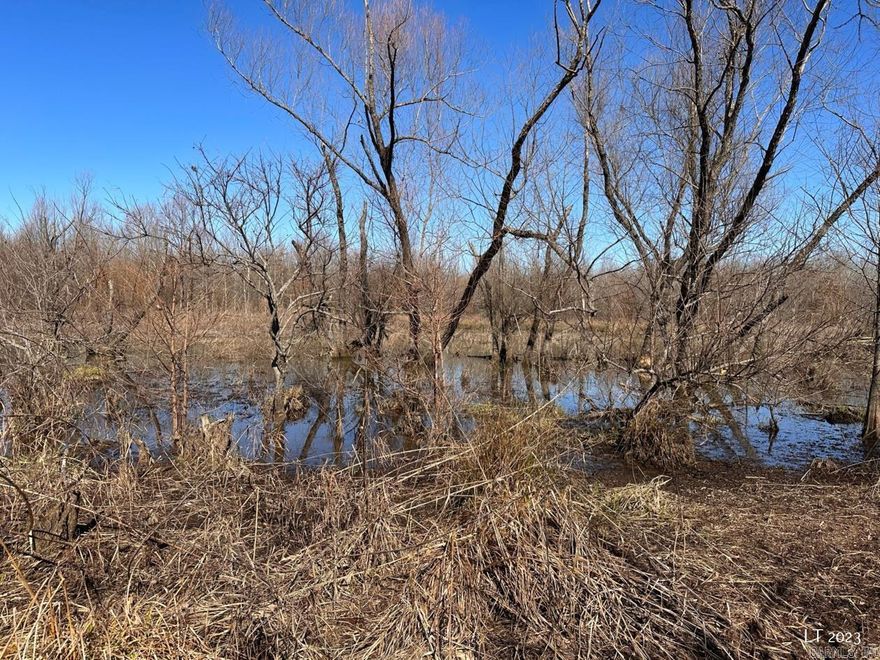 Sold before listed, purchased by the tenant.