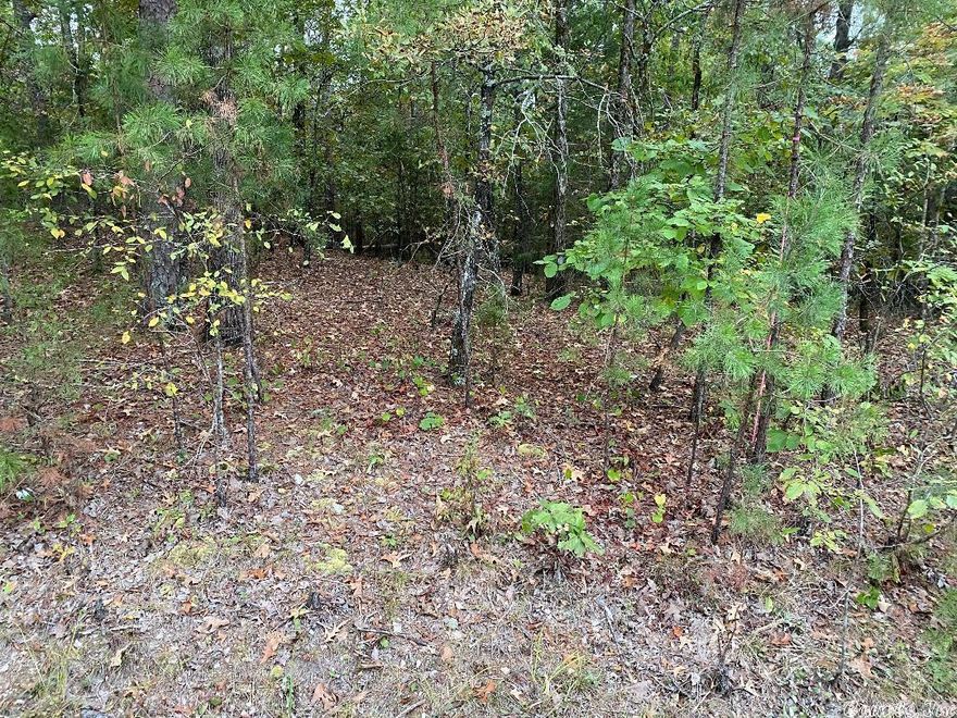 Beautiful lot located in Hot Springs Village, AR. Gold status lot in the Diamante private subdivision/country club, and home to an award winning # 3 ranked golf course in Arkansas by Golf Digest. Diamante club amenities also include world class tennis, private pool, three free rounds of golf a month for family and friends & a wide array of dining and social events. Hot Springs Village is the largest gated community in the U.S. and is close to historic Hot Springs, AR.