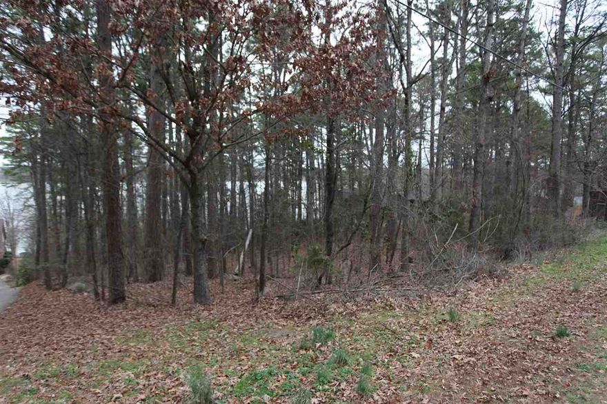 Beautiful lot on Lake Beaverfork.  Lake frontage over 1 acre to build your dream home.  Survey and legal in file.
