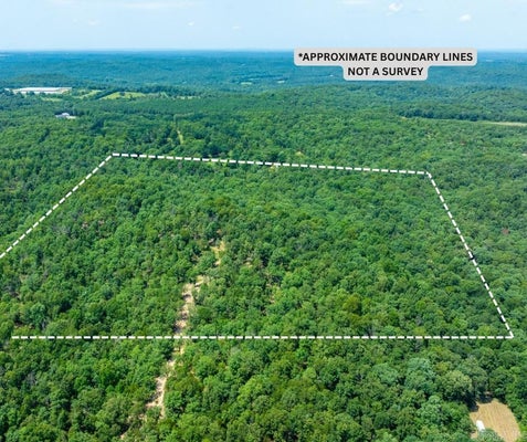 19 ANTIOCH RD, BATESVILLE, AR 72501 - Image cfce14ecfd77e10903332efaedaf14fa/298415166