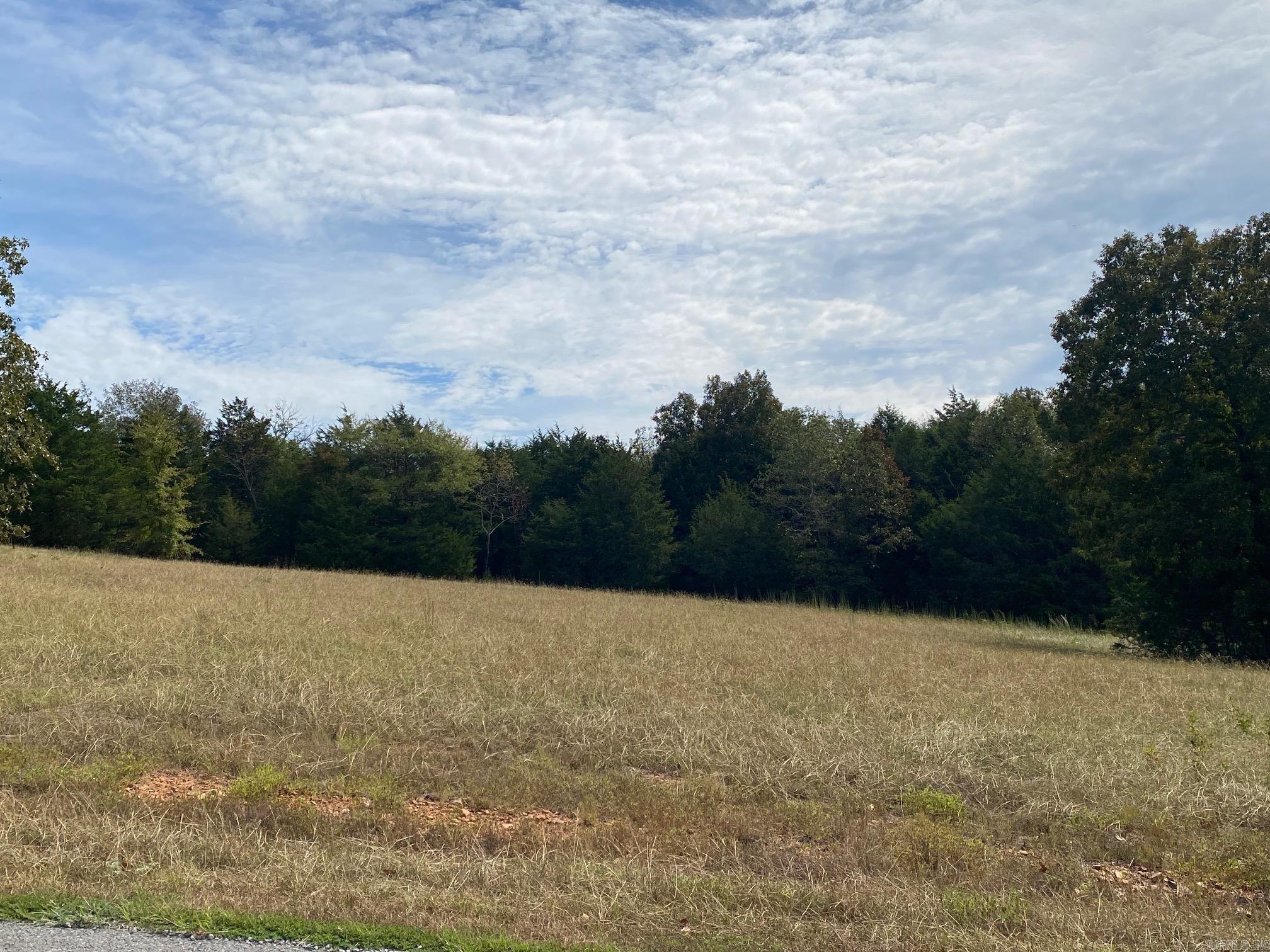 Beautiful 1.93 acre lot in Castlepines Sub. This subdivision with its hills and easy access to both Hwy 25 & Hwy 65 make it a great place to build your dream home. 2500 sq ft minimum build, Sub Plat, Covenants & Restrictions online.