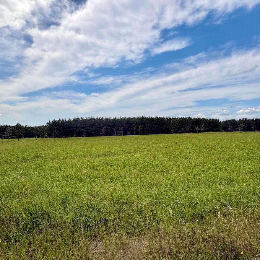 3.50 acres cleaned up and ready to build on...perc test & survey on file. There is public water & electricity available(buyer to verify)...on a paved road.  Conveniently located just off the bypass