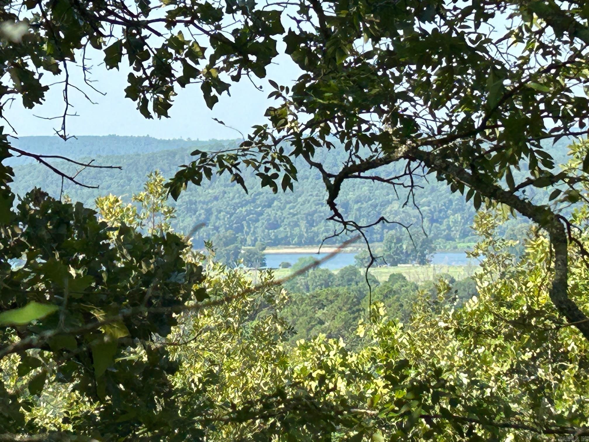 Hilltop retreat - your own beautiful mountain with views of the Arkansas River. 253.63 acres, mostly timber with a pond on top, flooded timber below. This beautiful property could be your own private oasis, hunting & fishing land or prime for development. 30 minutes from West Little Rock - 10 minutes from Conway.