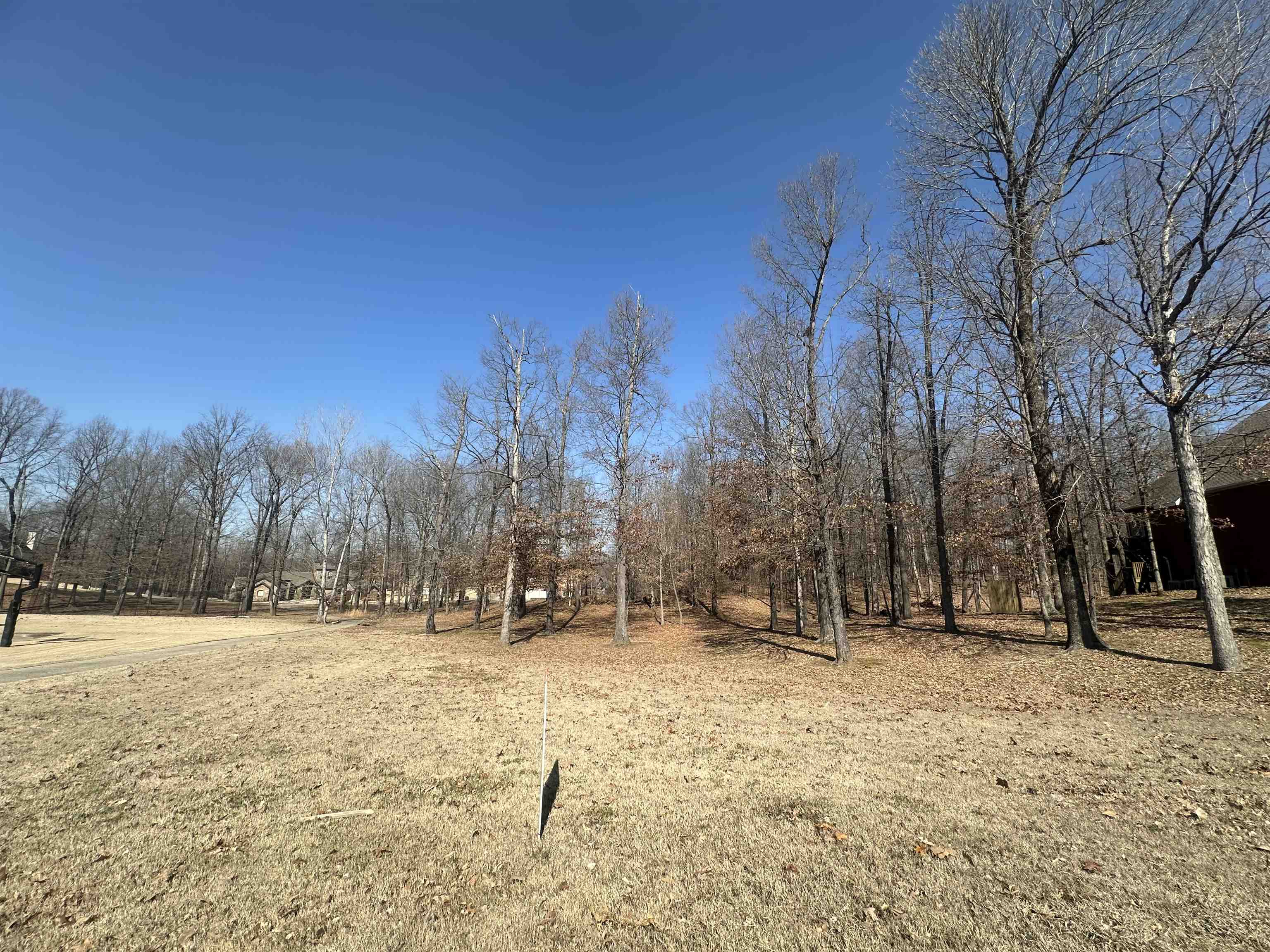 Callaway Hills - Land