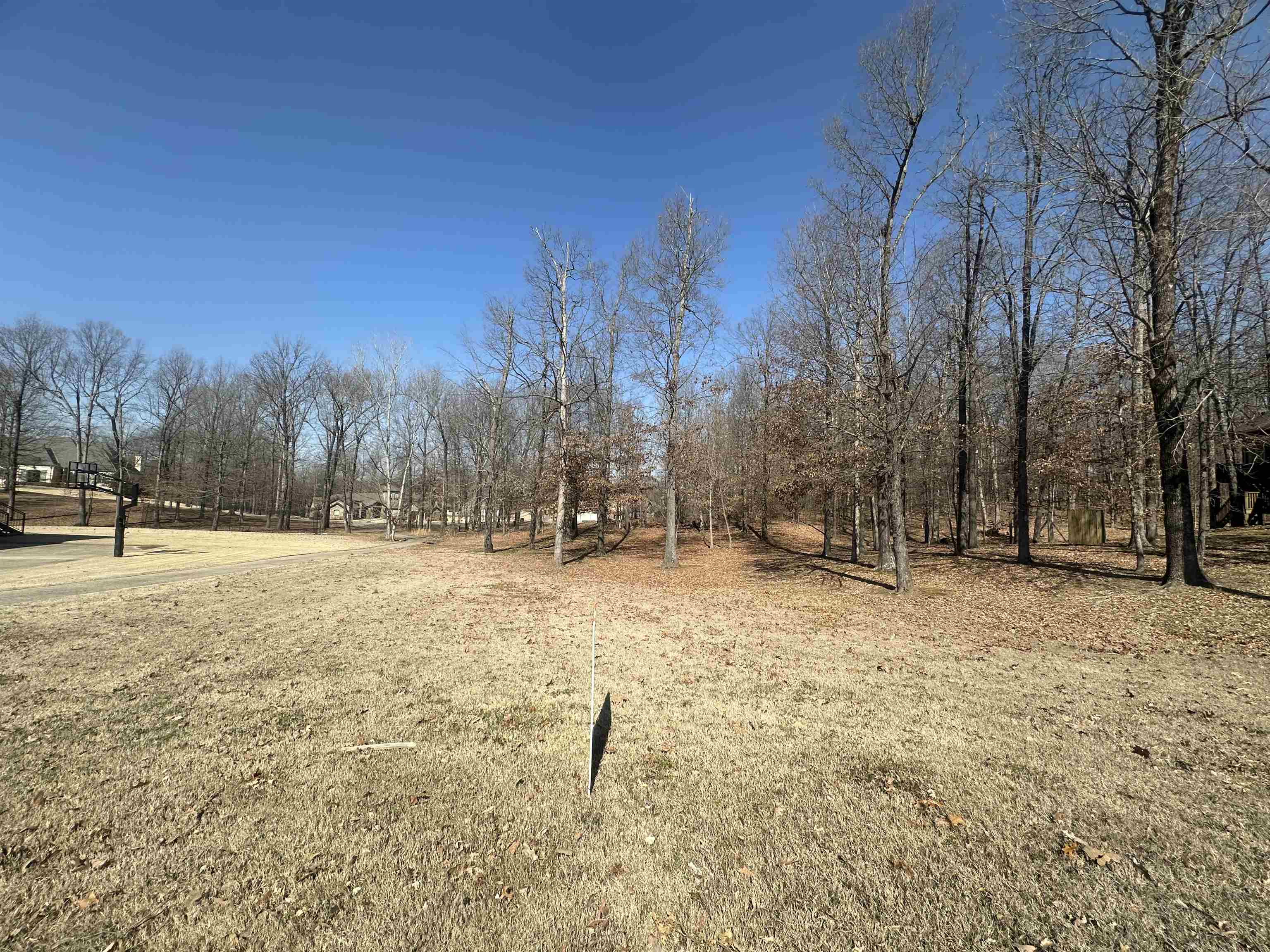 Callaway Hills - Land