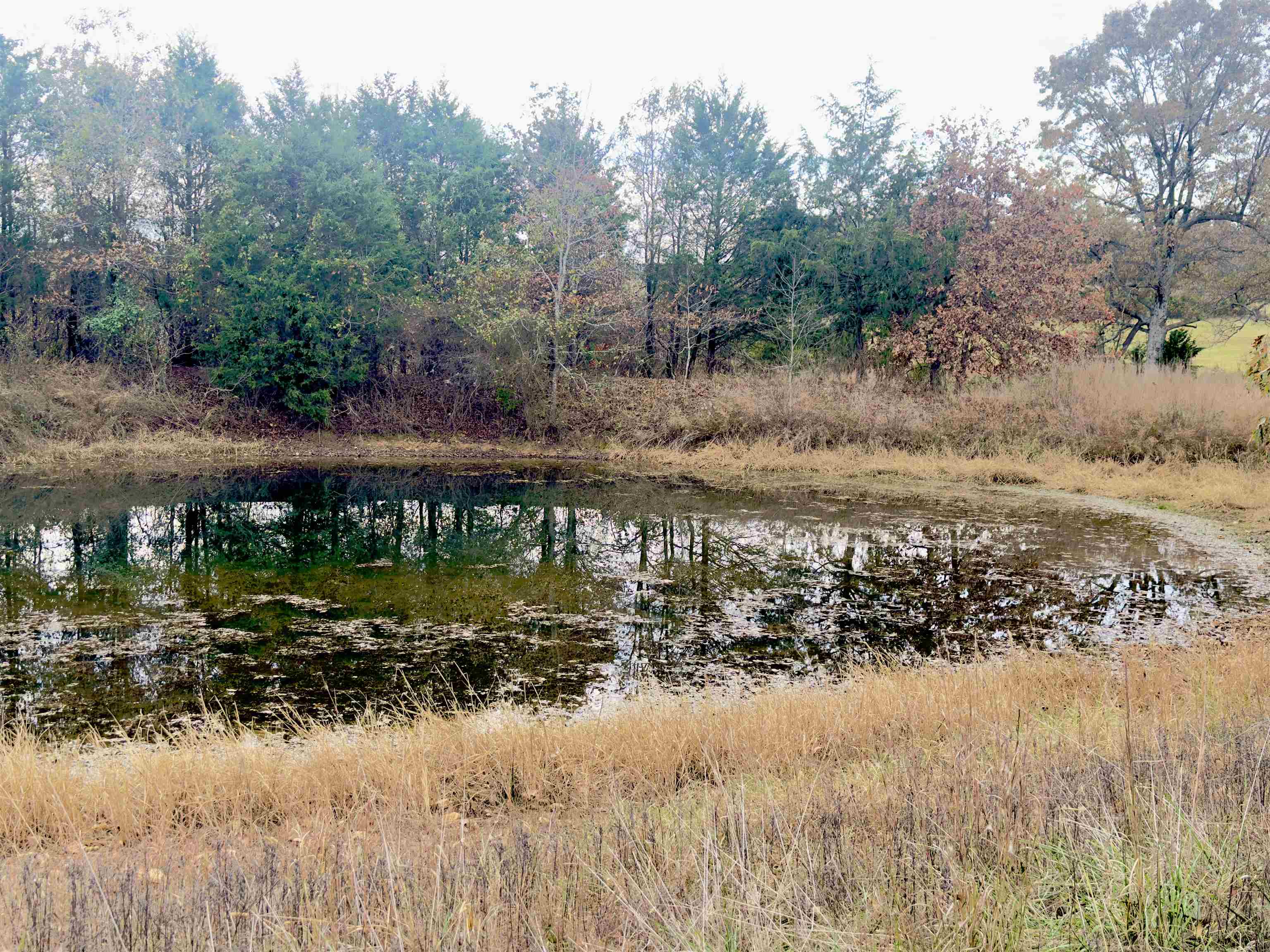 Metes & Bounds - Land