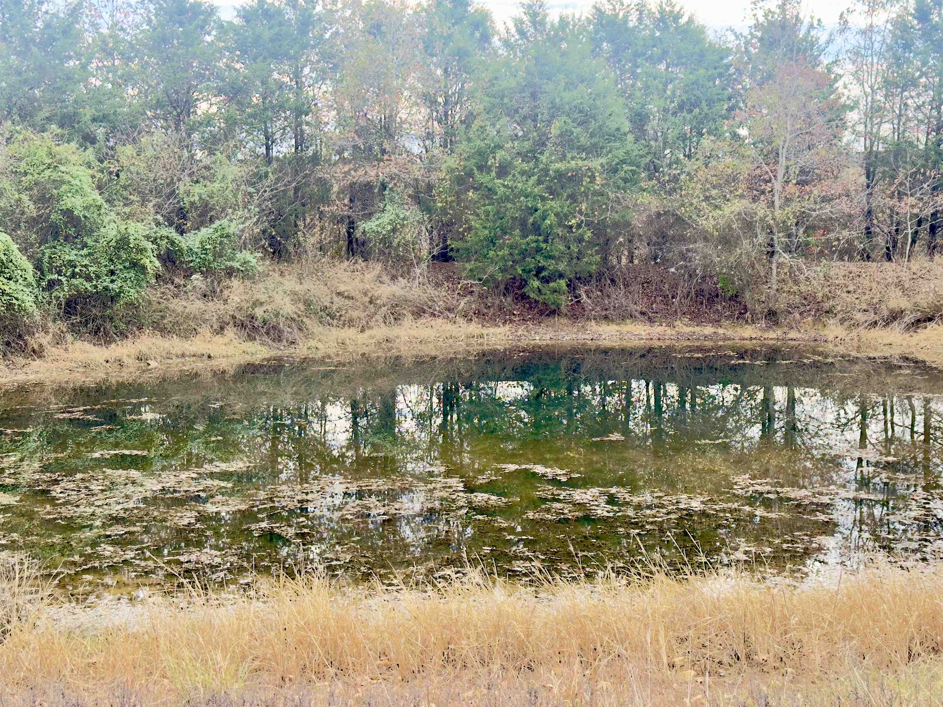 Metes & Bounds - Land