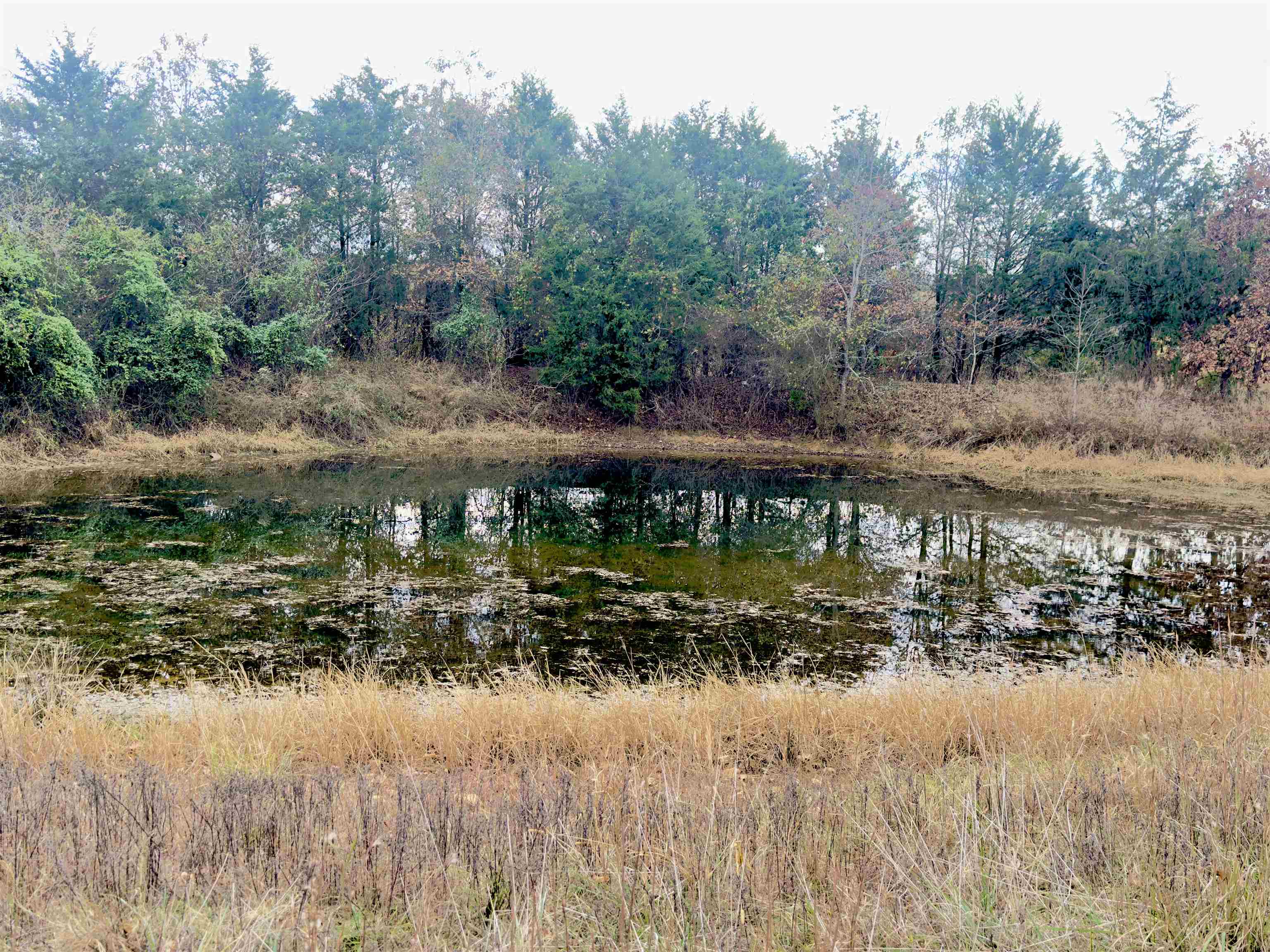 Metes & Bounds - Land